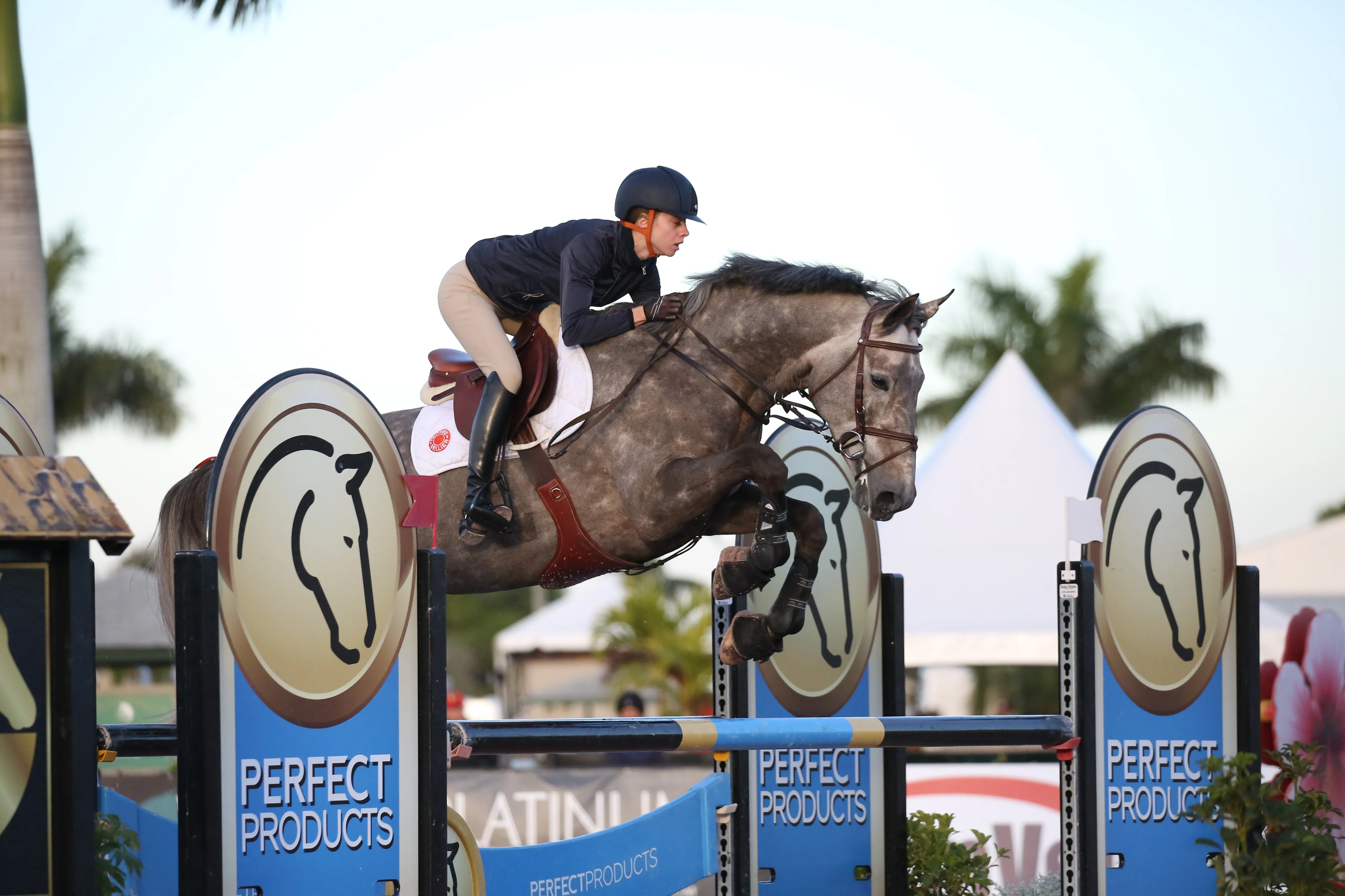 En 2017, Bibici avait traversé l'Atlantique pour se rendre à Wellington et concourir sous la selle d'Alexandra Paillot