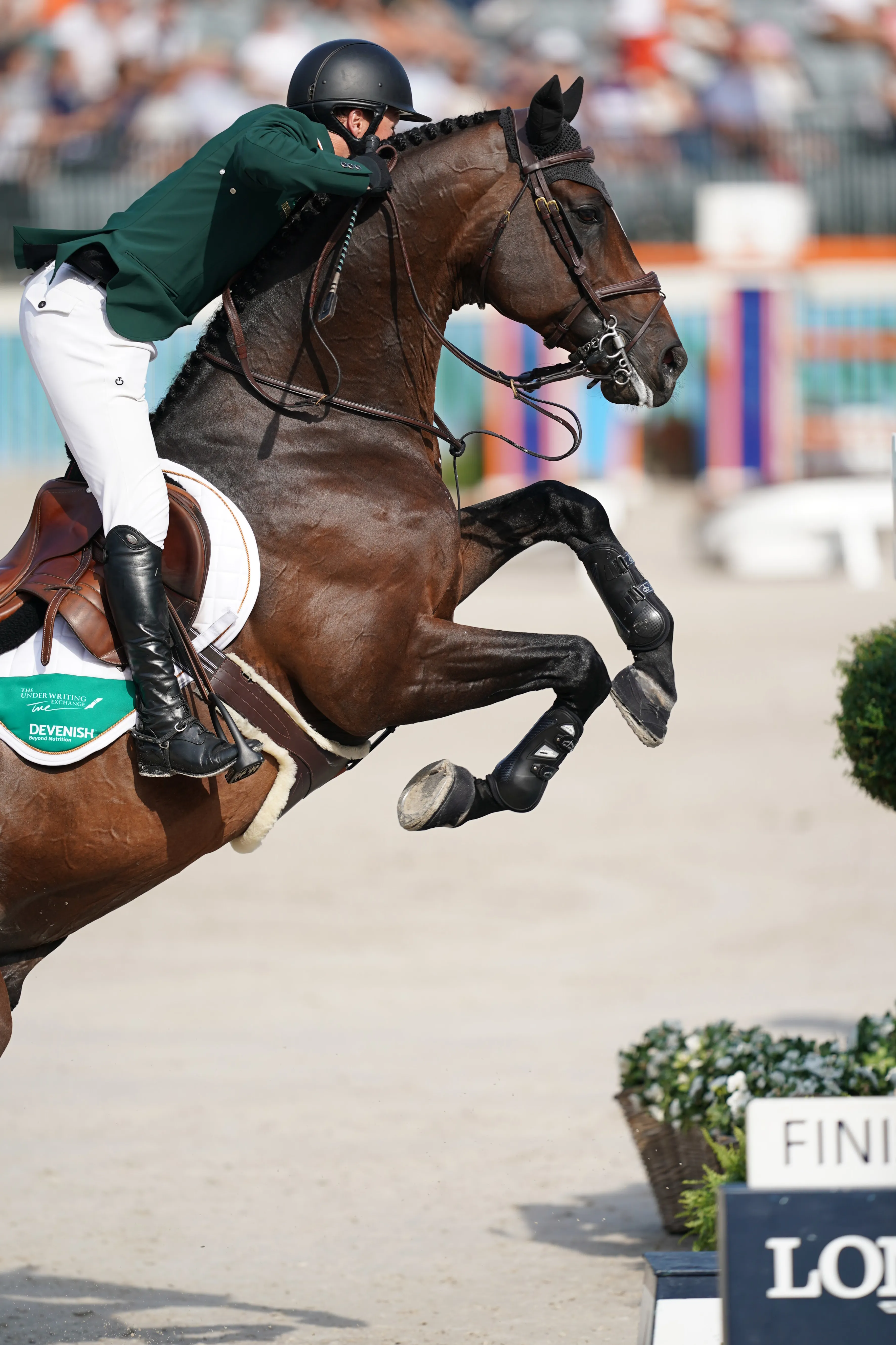 Chianti's Champion aura permis à l'Irlande de décrocher sa qualification olympique.