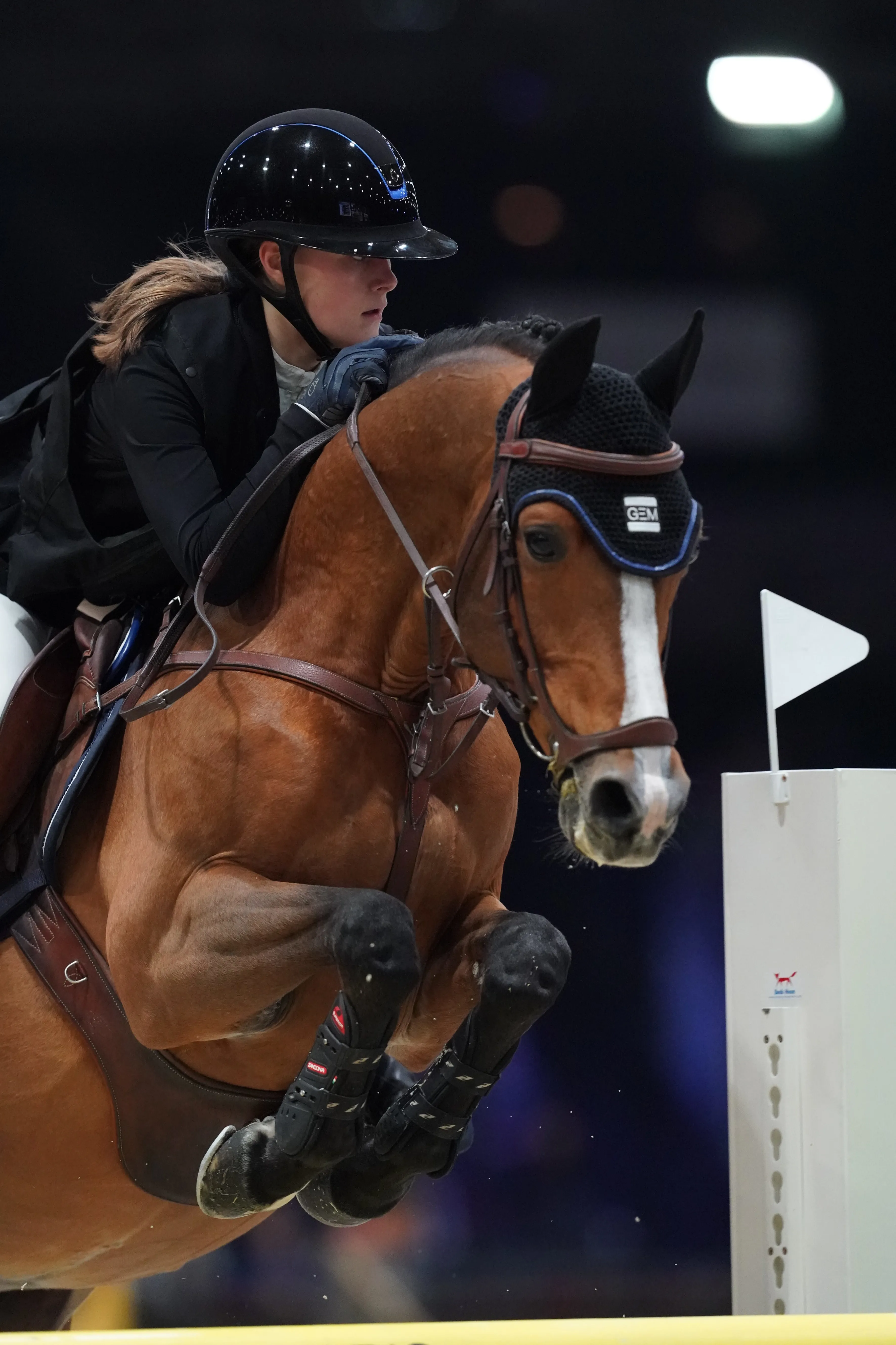 Quabar est ici avec Romane Orhant lors des Longines Masters de Paris en décembre 2019.