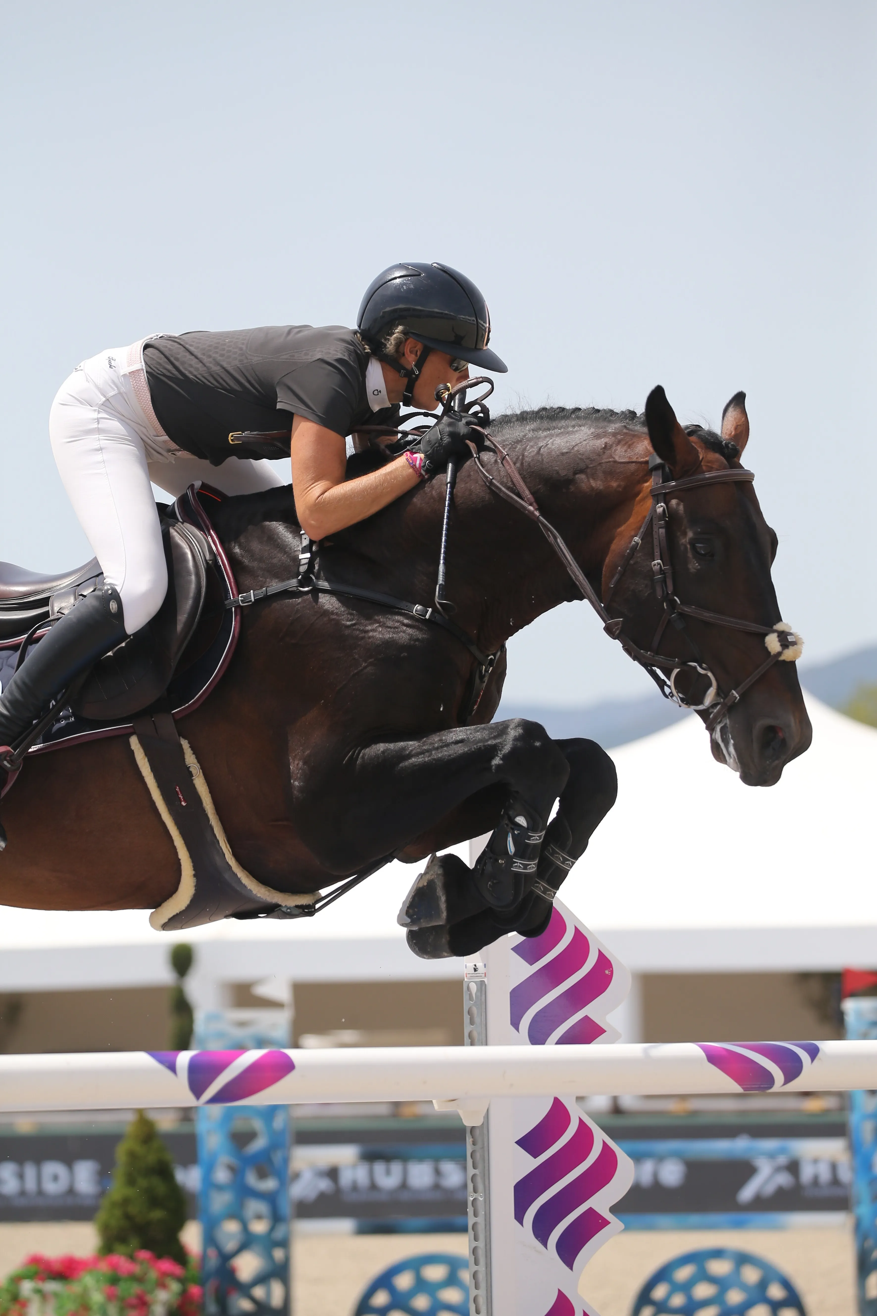 Marie Demonte est ici en selle sur Las Vegas vd Padenborre, un étalon pour lequel elle a eu un véritable “coup de cœur”. 