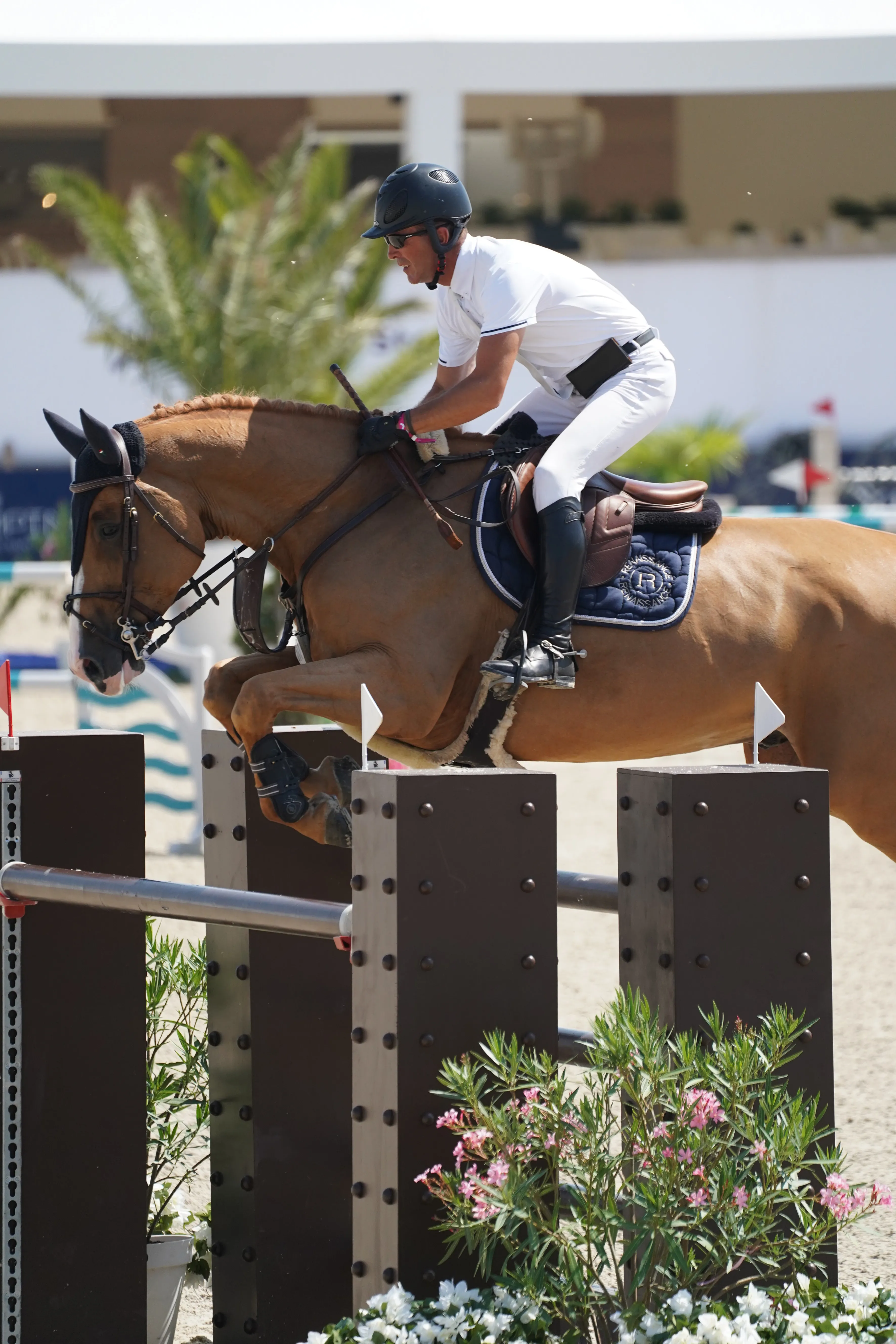 Corsaire du Lesme dans le CSI 2* de l'Hubside Jumping de Grimaud