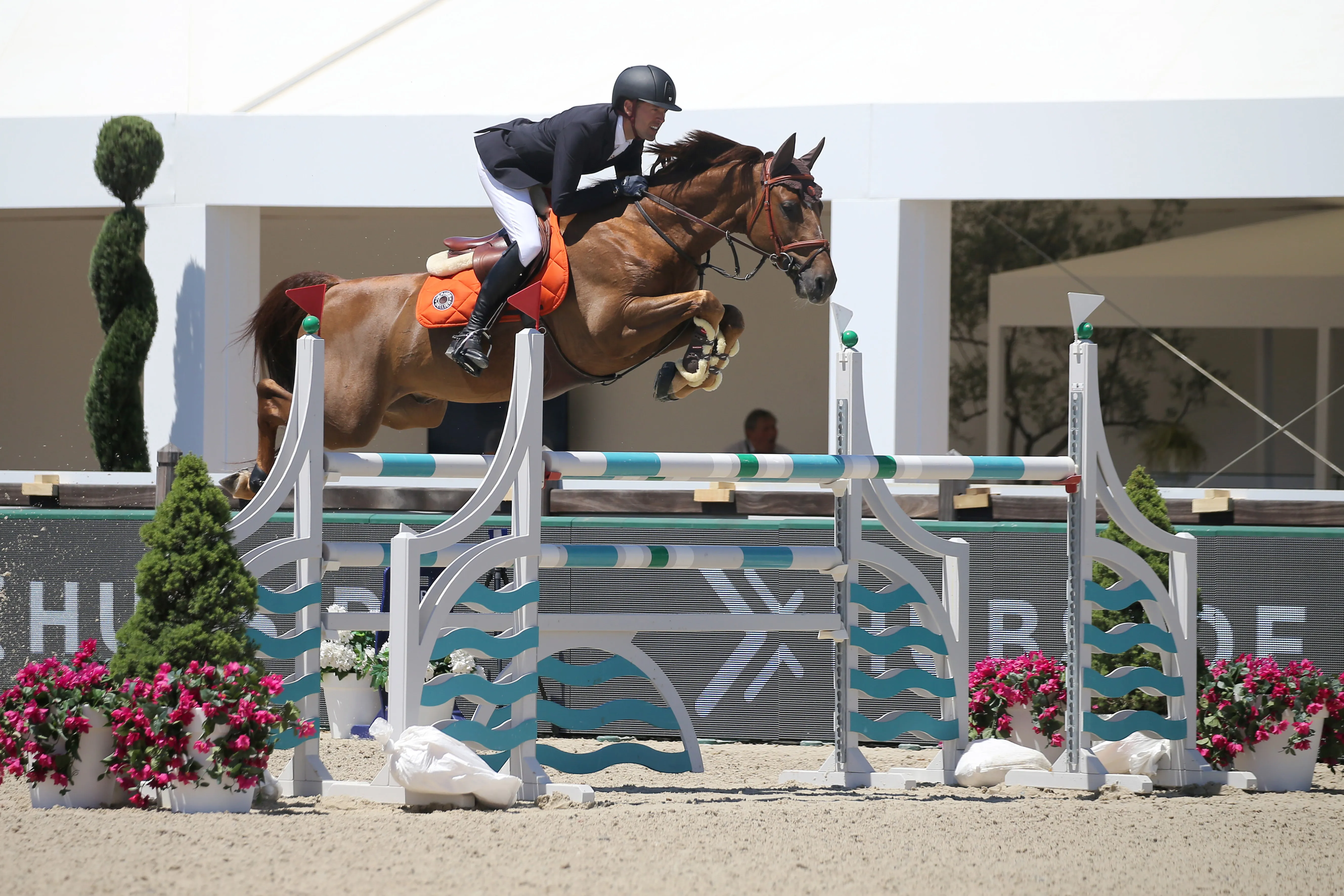 Simon Delestre et CSIO Bel, une copie presque conforme de Hermès Ryan des Hayettes!