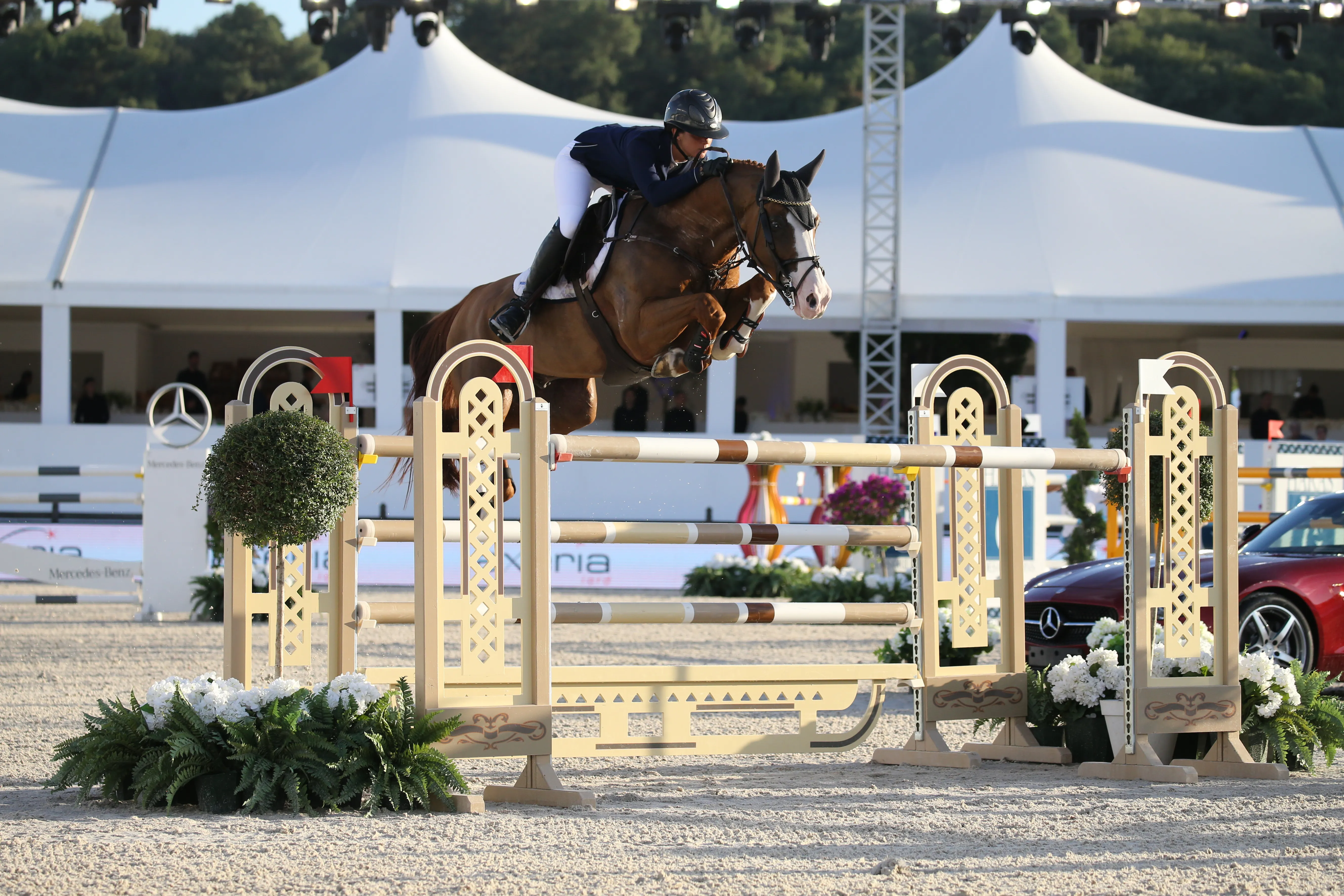 Meilleur élément de son piquet de chevaux, Trafalgar Kervec a la préférence de Margaux Rocuet.