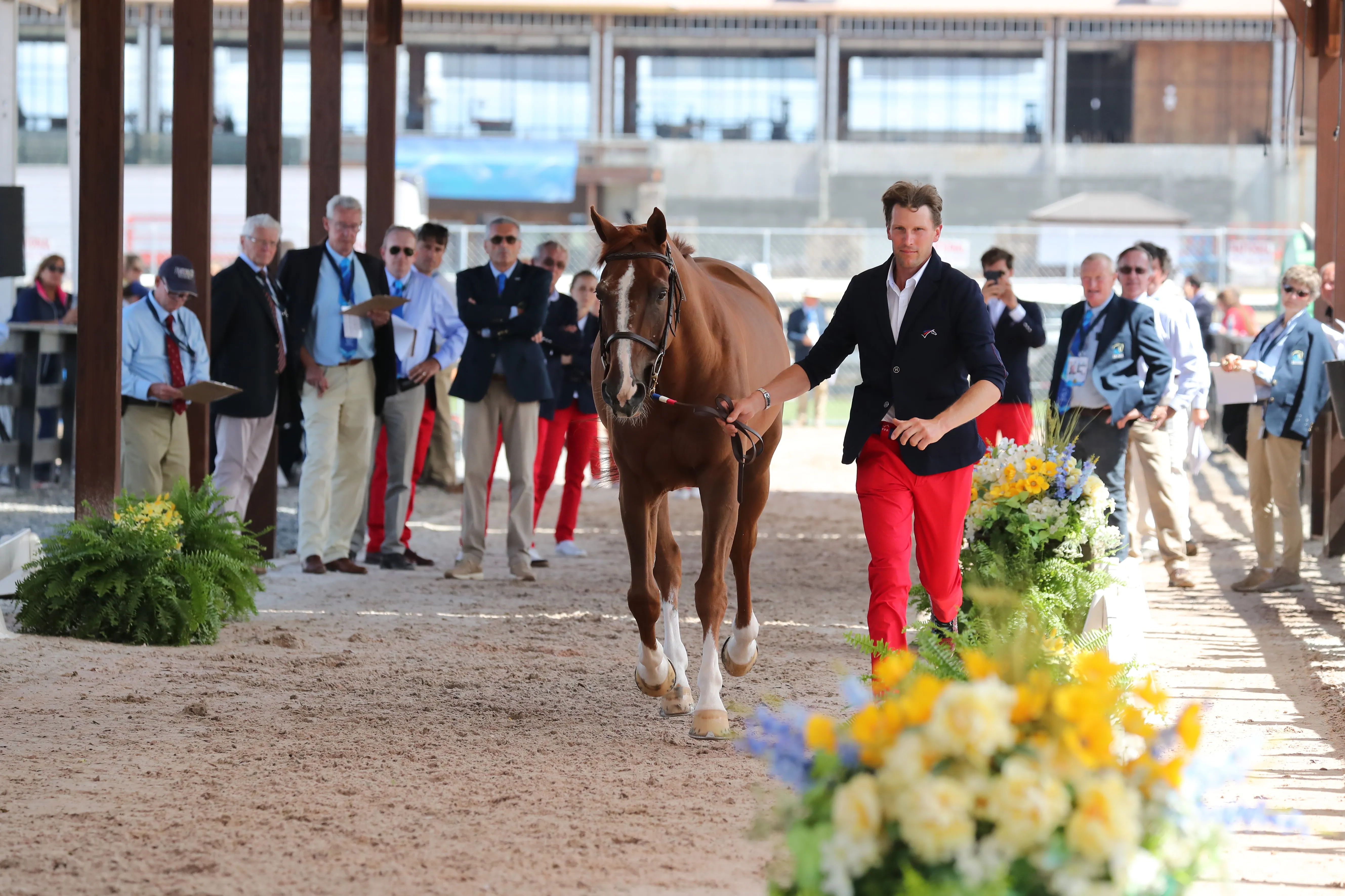 Ici lors de l'inspection vétérinaire à Tryon, Rêveur de Hurtebise*HDC a bénéficié d'un programme à la carte avant l'échéance mondiale.