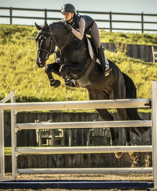 L'été dernier à Fontainebleau, Faustine Laferrerie a notamment classé Done’di Amore au huitième rang du championnat des mâles et hongres de six ans.