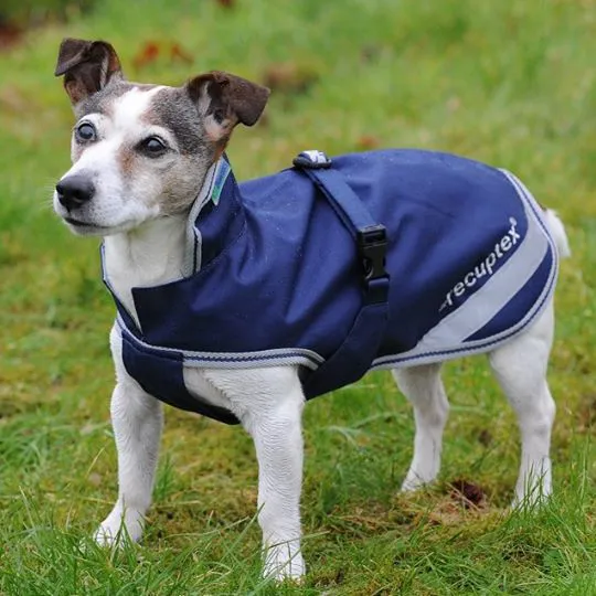 Couverture pour chien thérapeutique Recuptex