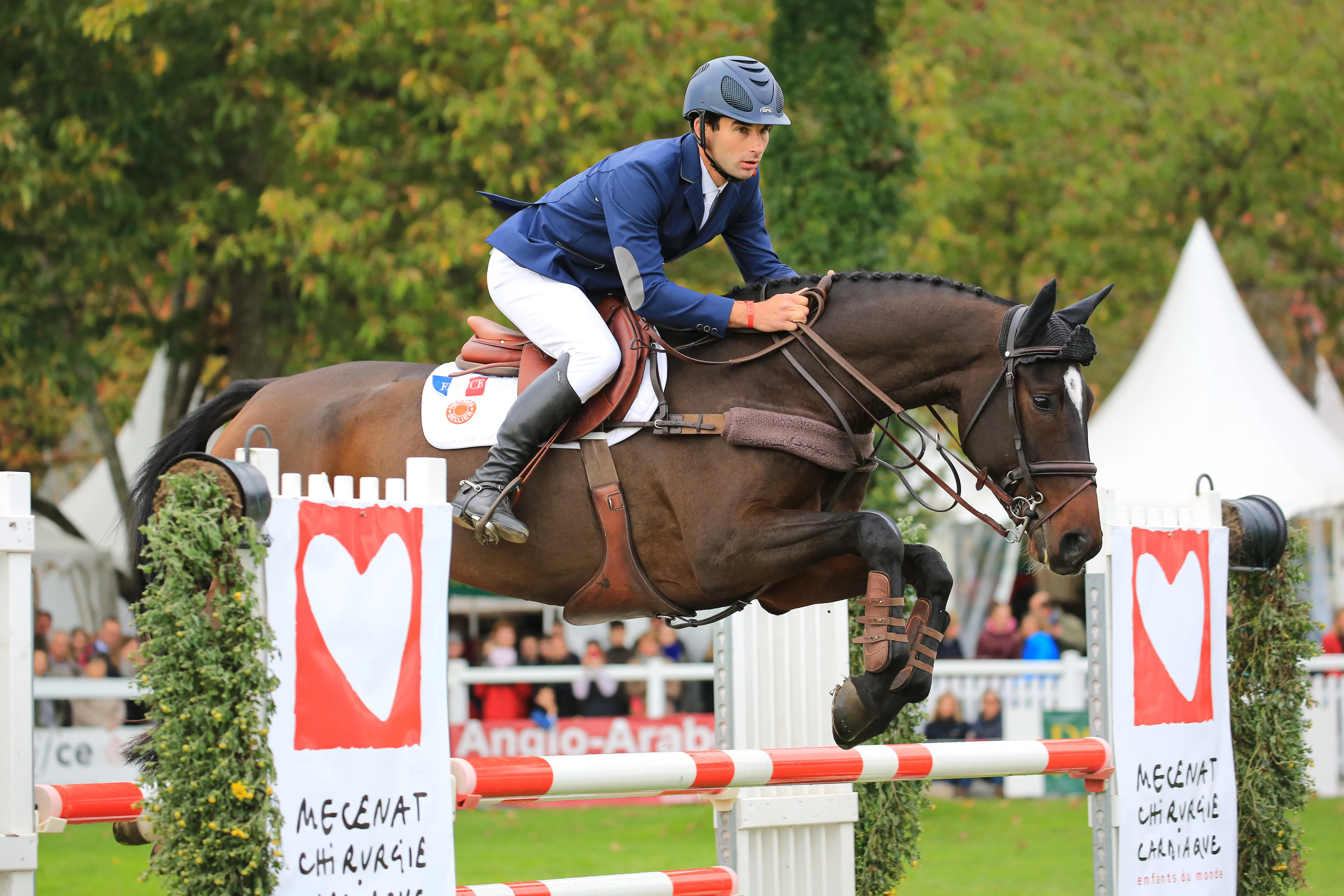 Alertamalib'Or, champion du monde des chevaux de sept ans en concours complet, sous la selle d'Astier Nicolas.