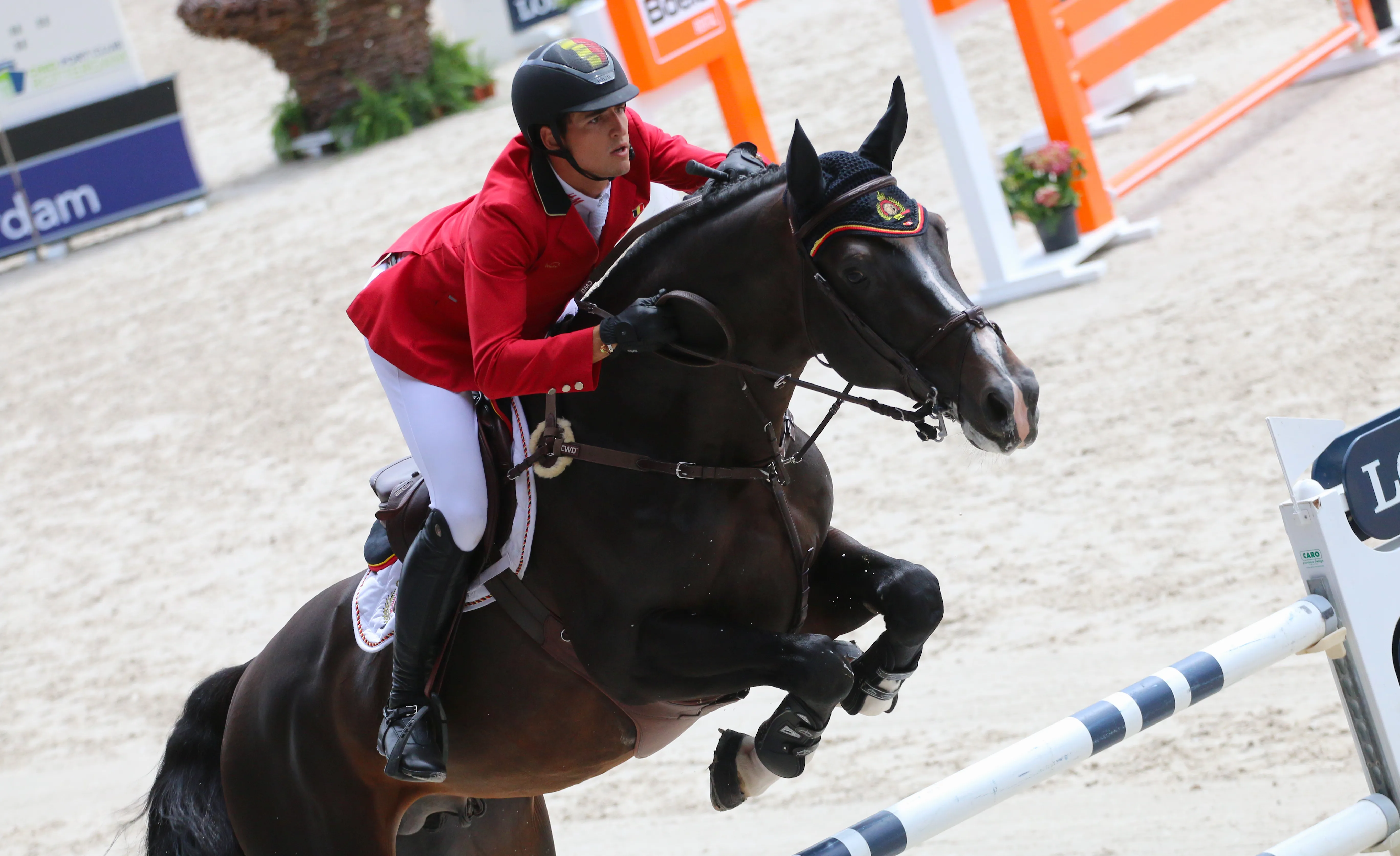 Une semaine après sa victoire à Estoril, Nicola Philippaerts a largement participé au succès belge aujourd'hui.