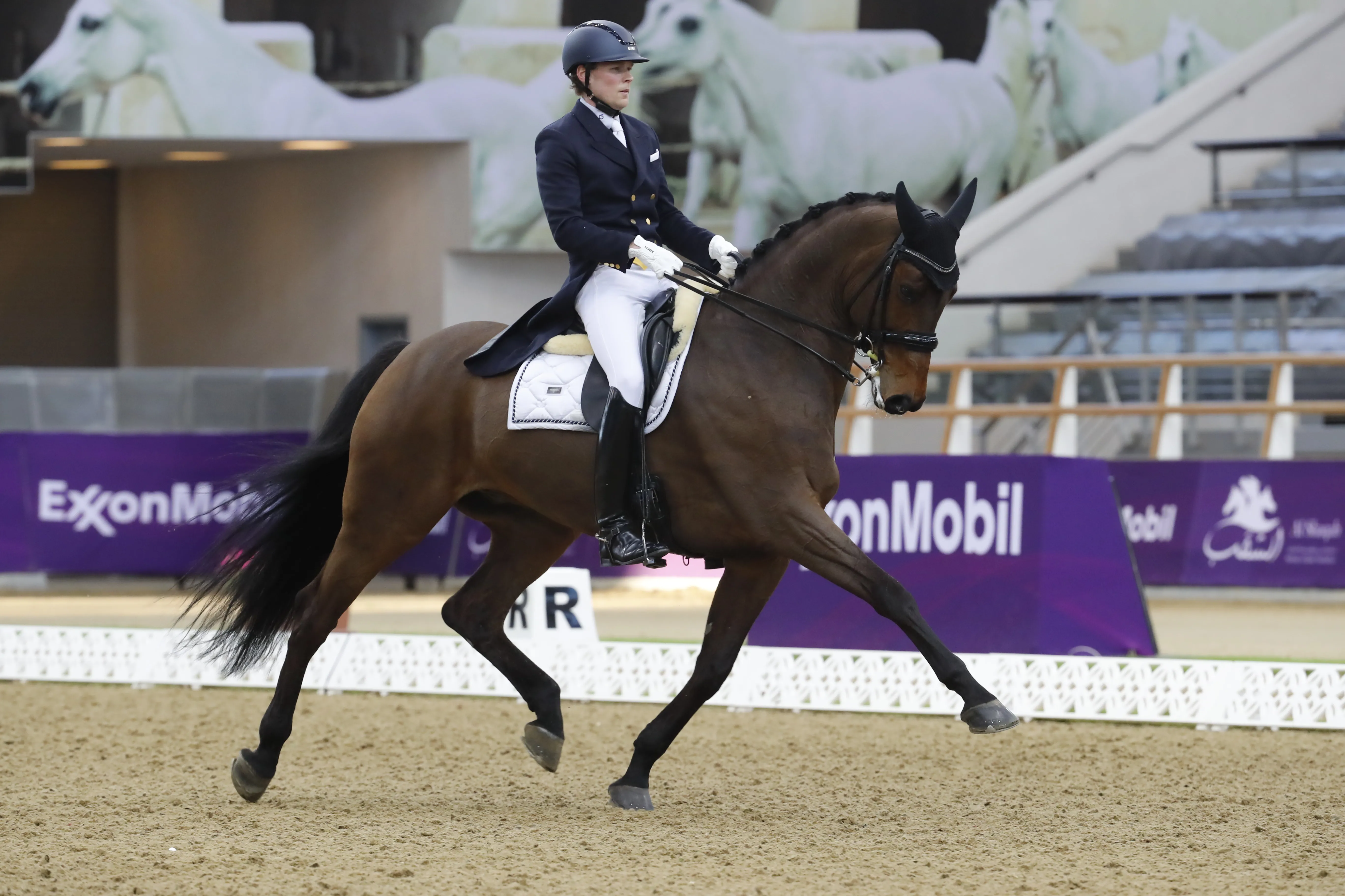 Le surprenant duo finlandais, Henri Ruoste et Kontestro DB, a complété le trio de tête.