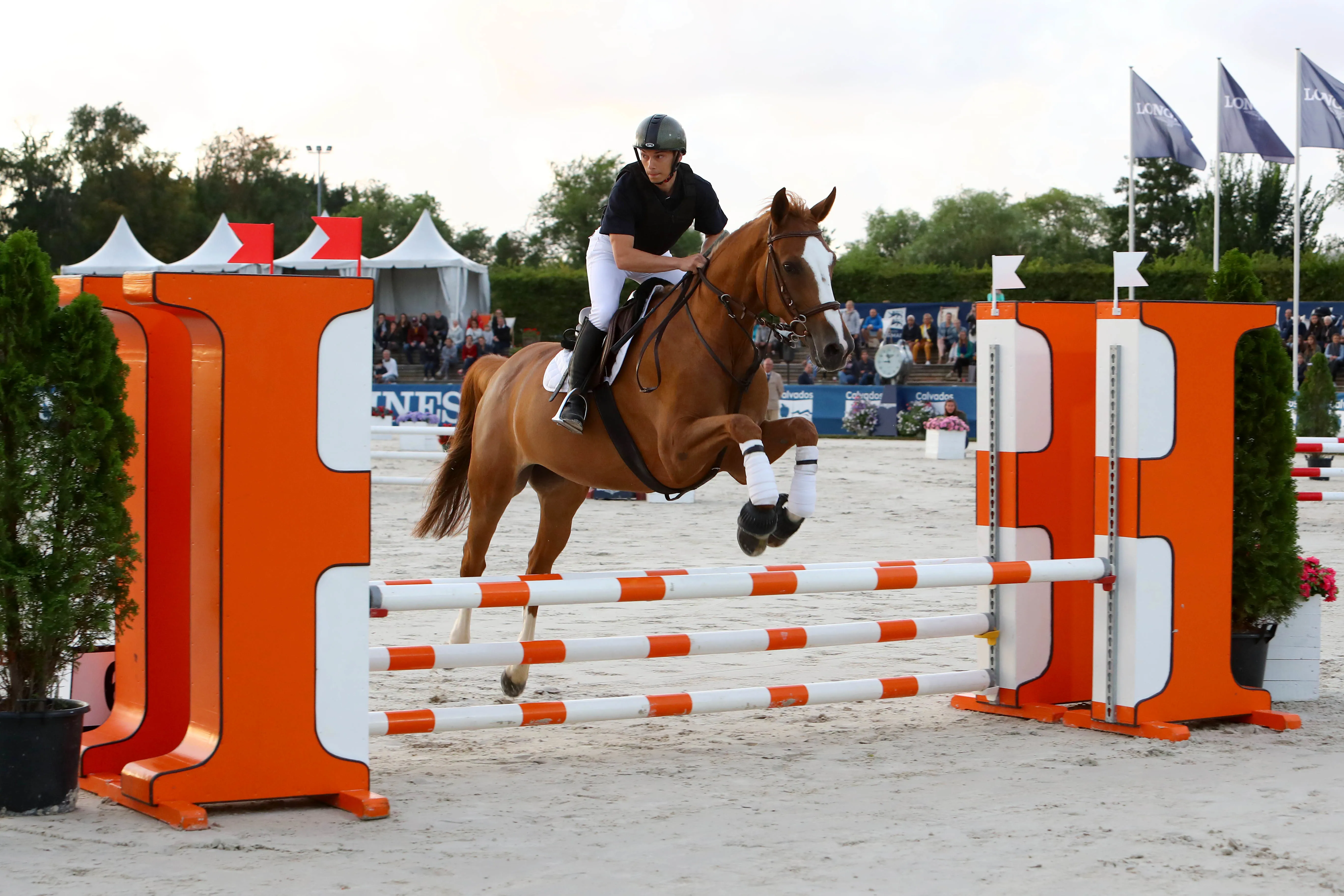 Le jockey Alexis Badel sur un parcours de saut d'obstacle.