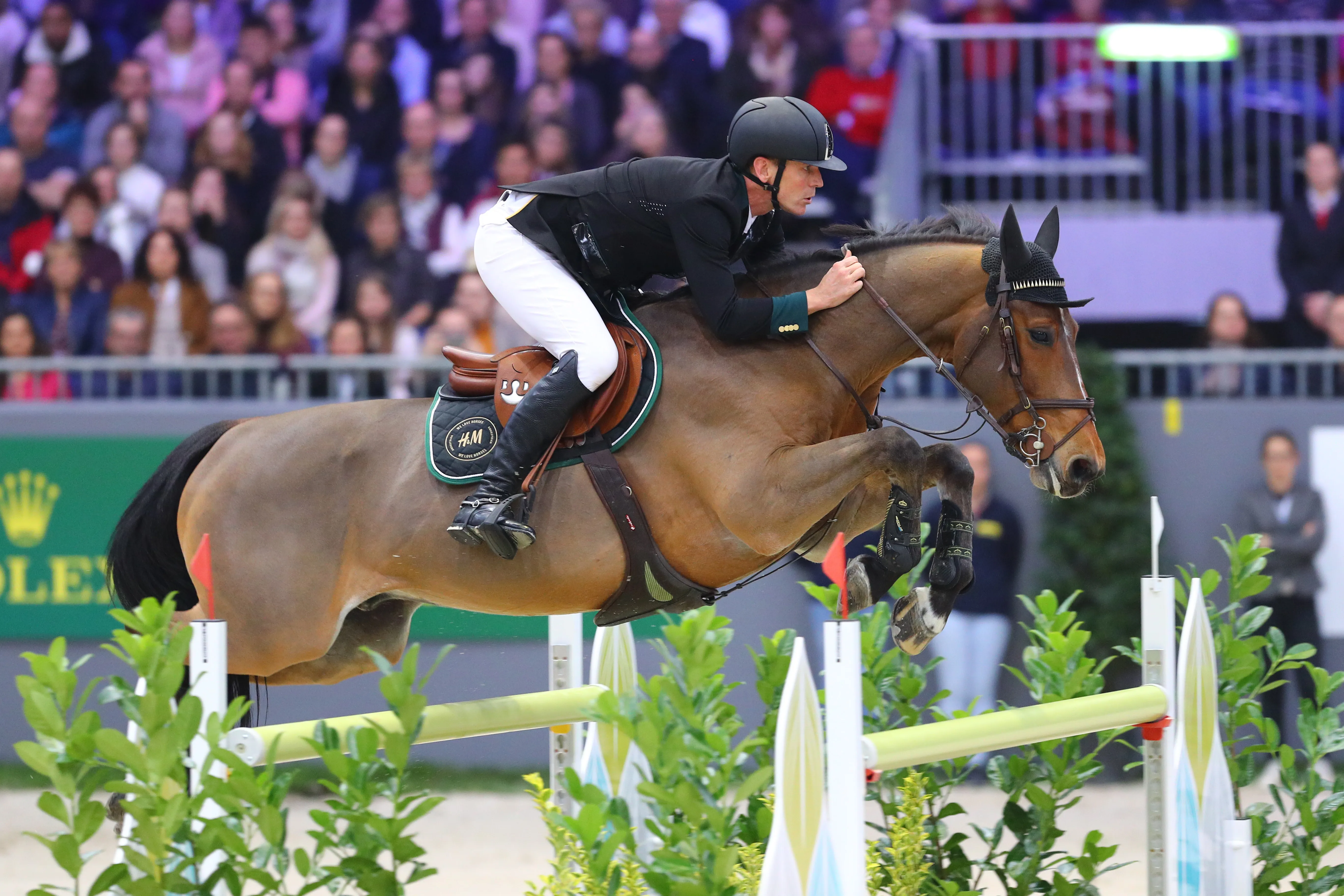 Longtemps blessé, le vice-champion olympique H&M All In a repris le travail. 