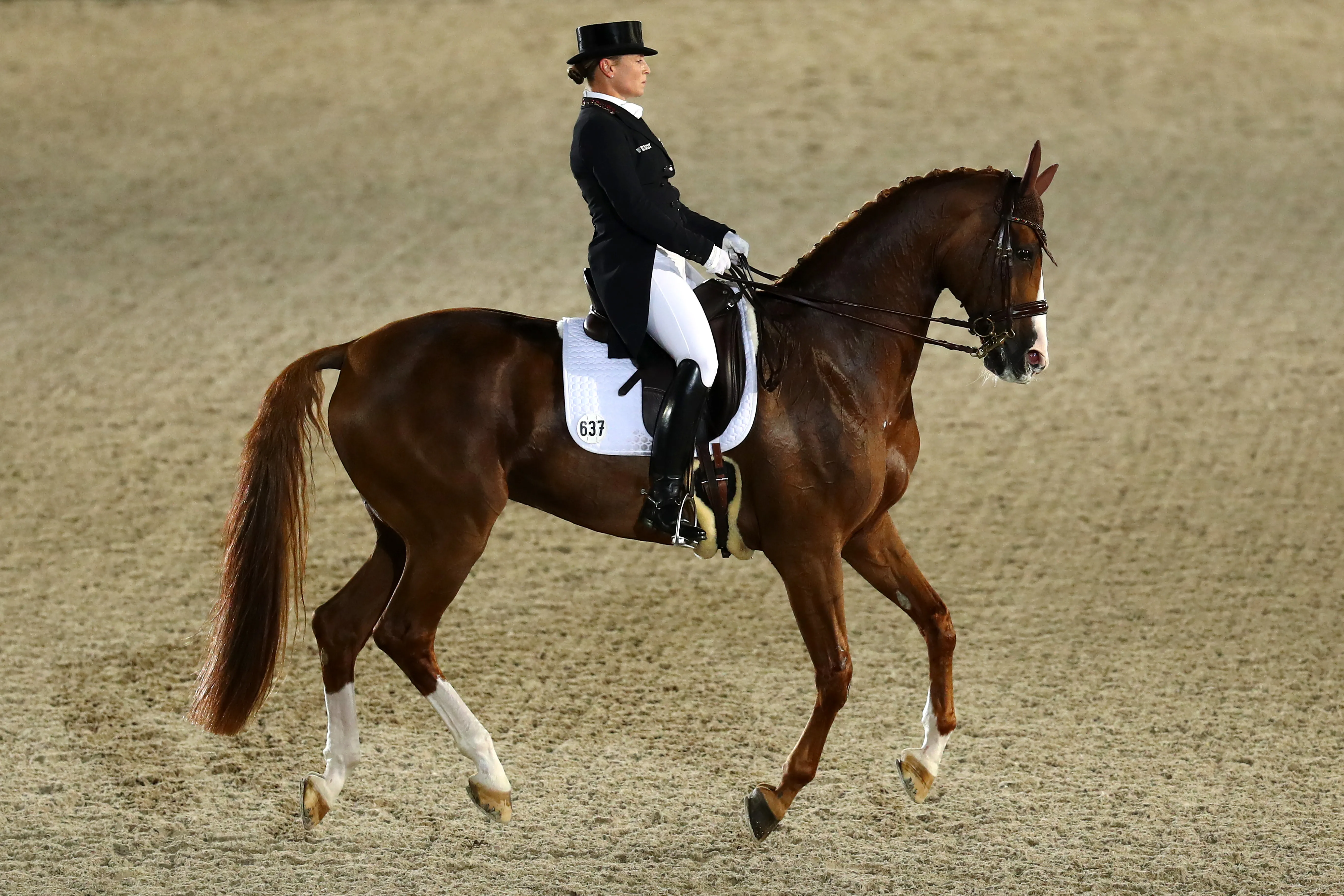 À la fin, c'est quand même Isabell Werth qui s'impose