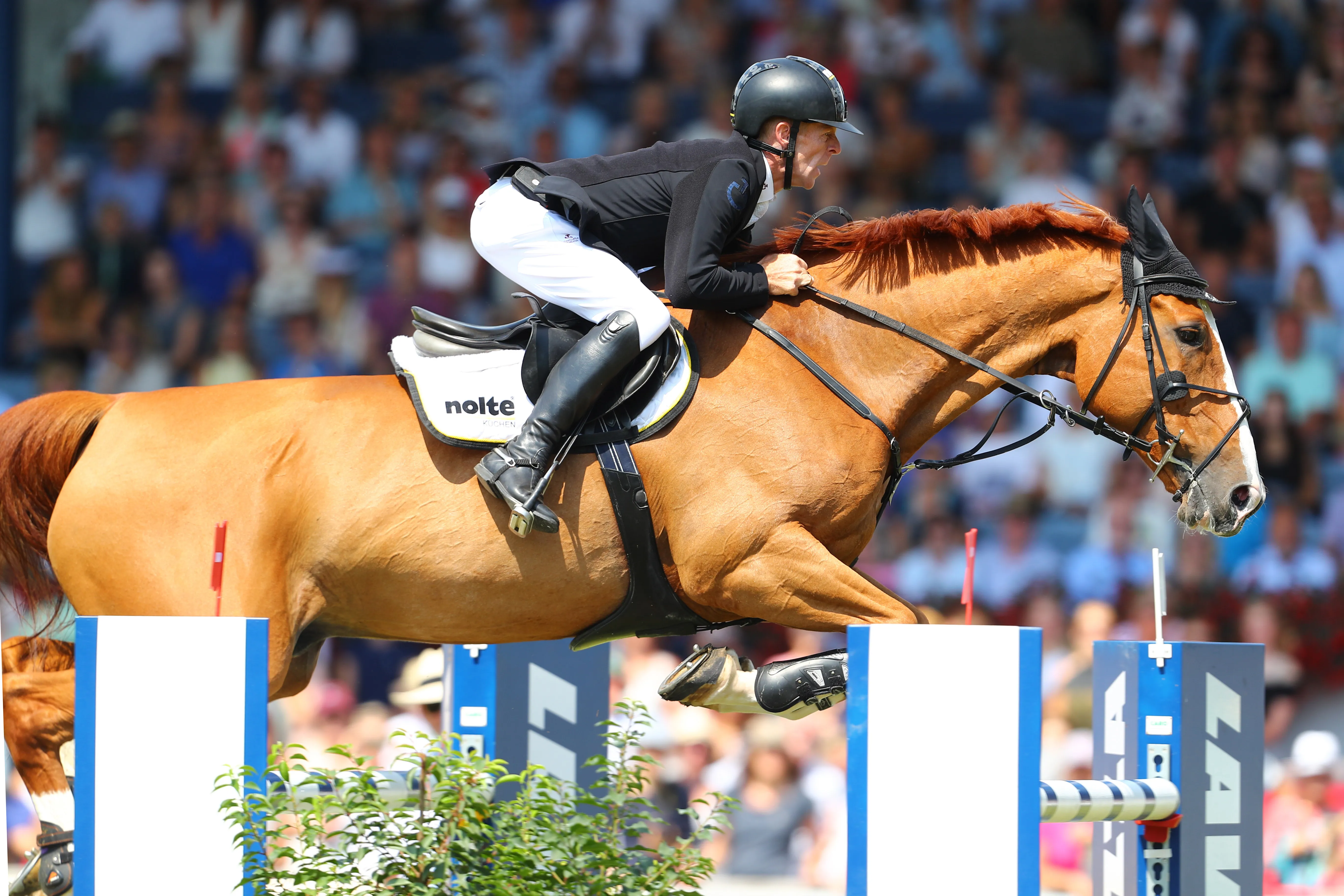 Face à des tribunes acquises à sa cause, Marcus Ehning n'a pas trouvé d'égal aujourd'hui.
