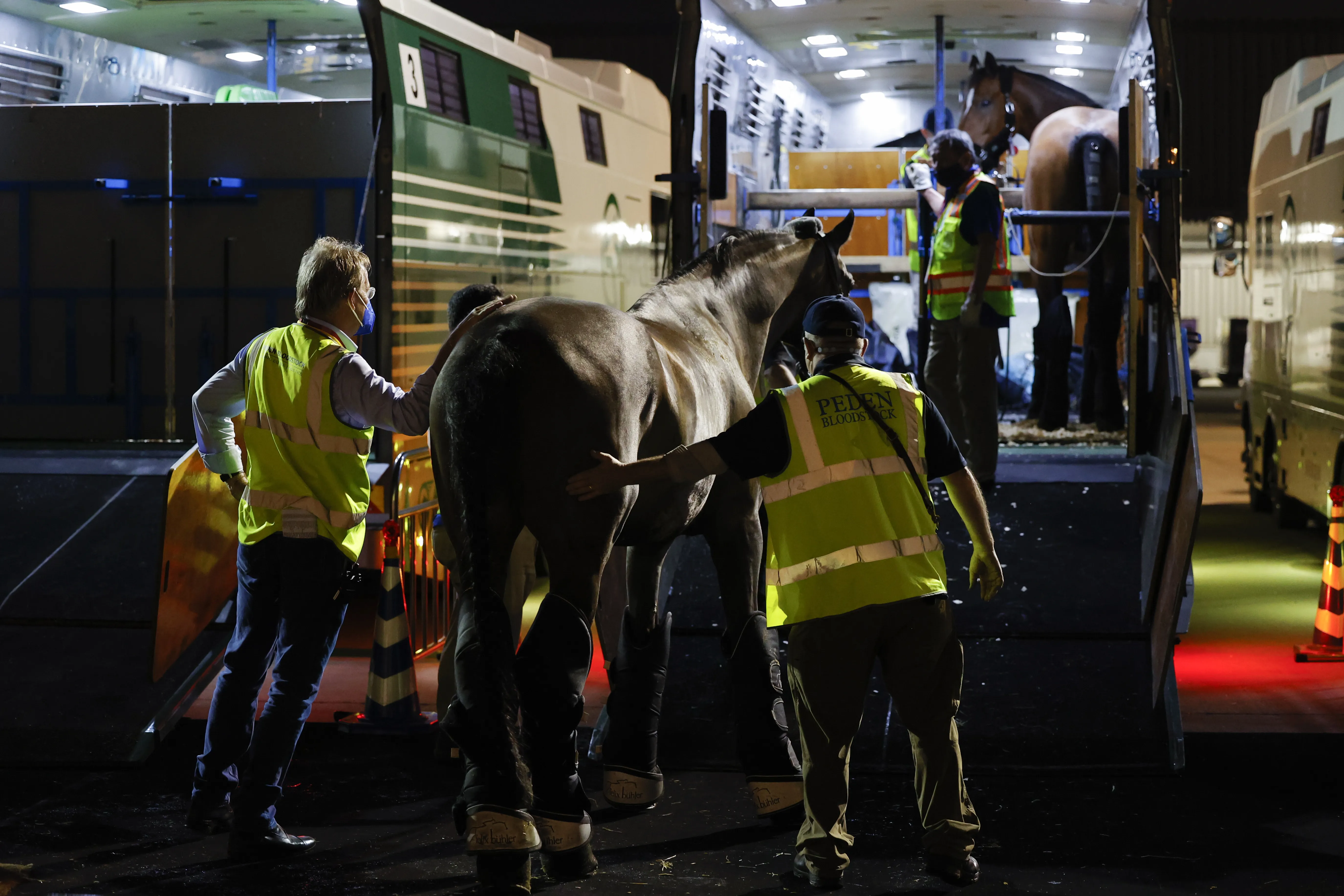 Arrivée des chevaux de dressage à l'aéroport d'Haneda, au Japon.