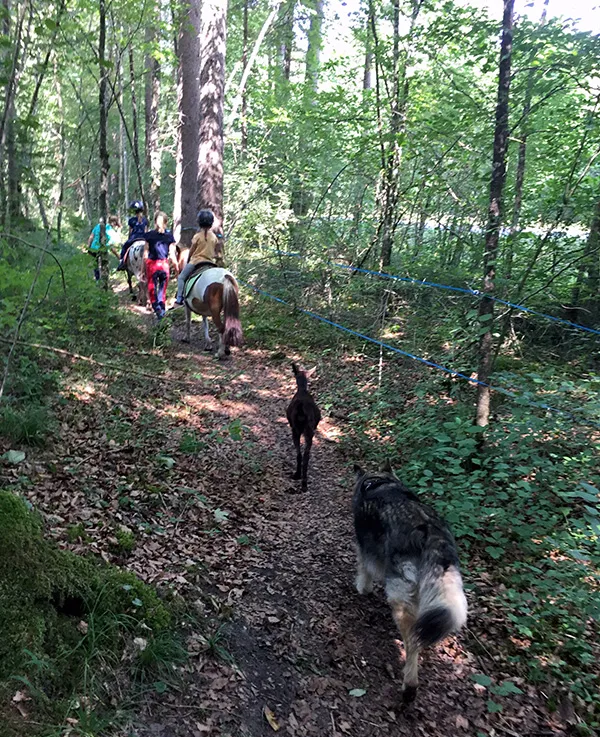 Promenade à poney en juillet 2017.