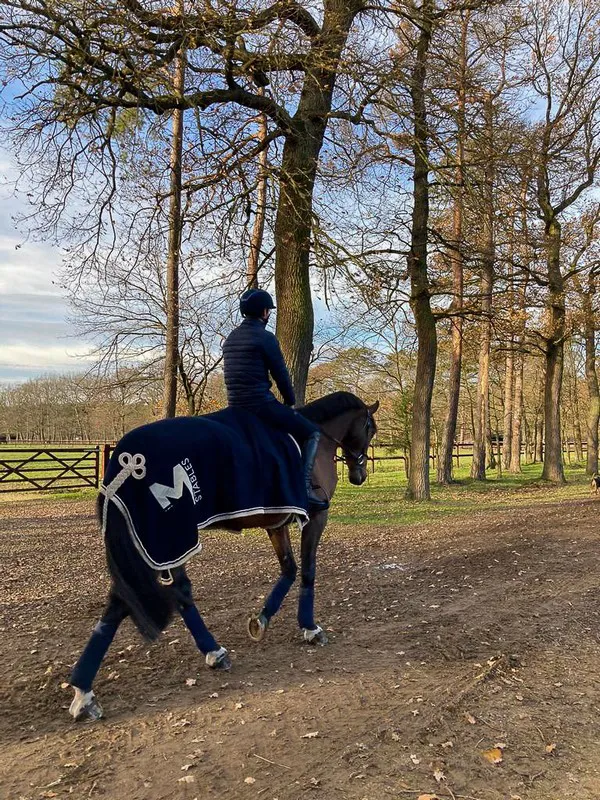 Le cadre bucolique des écuries de la famille Melchior, à la frontière belgo-néerlandaise, permet à Robinson et son équipe de profiter d’une vaste forêt.