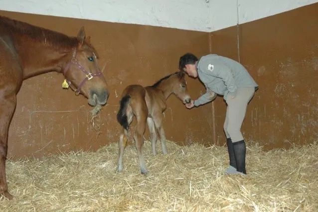 Church’Ile a vu le jour dans la famille Marx