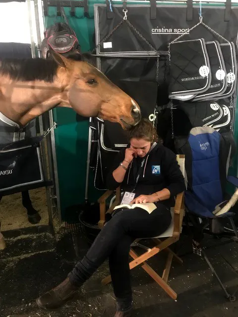 Cristallo A*LM se repose ici tranquillement aux côtés de Maud Ligouzat, qui lui avait d’ailleurs rendu un bel hommage lors de son départ à la retraite.