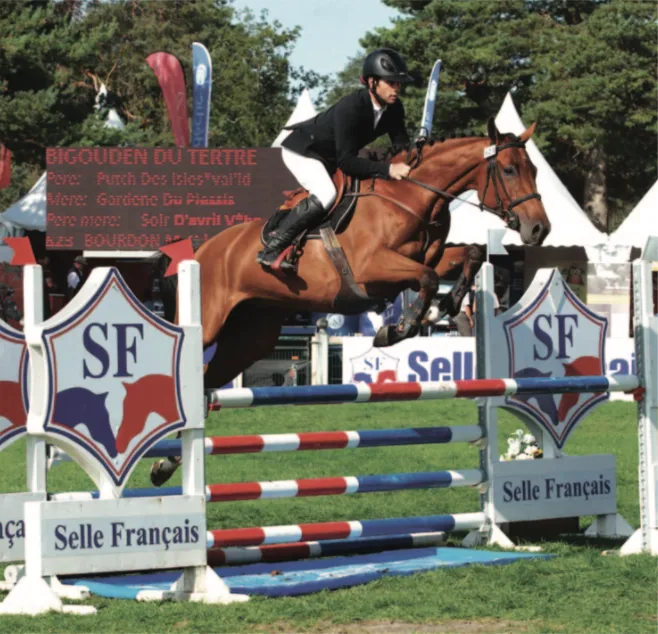 Ici lors de la Grande Semaine de Fontainebleau en 2018, Bigouden du Tertre est à ce jour le meilleur produit de Putch des Isles.