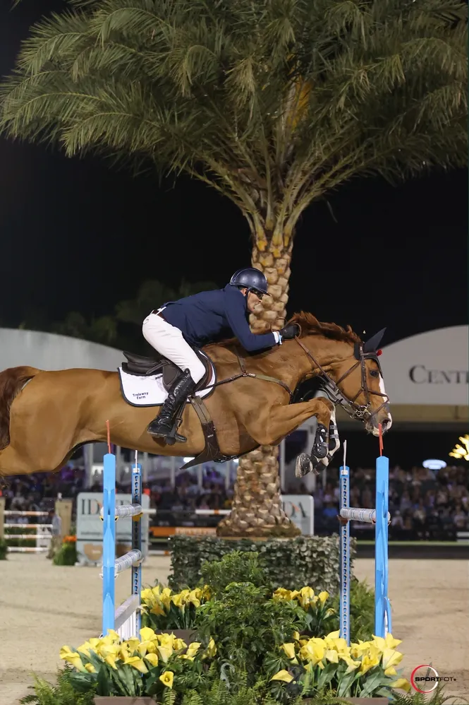 Chancelorress et Paul O'Shea.