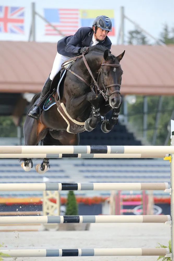 Chic Chic compte parmi les prometteuses montures de Darragh Kenny. 