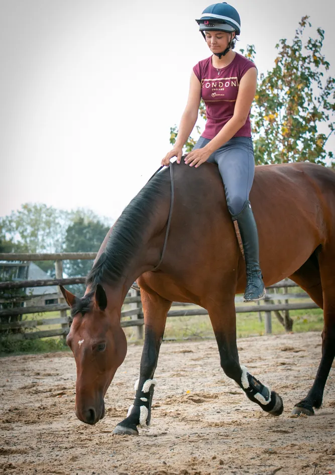 Pour varier l'entraînement de ses chevaux, Marie-Charlotte Fuss alterne entre les séances en filet et en cordelette.