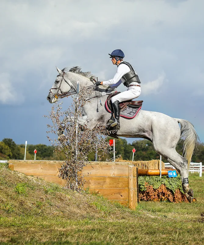 Api du Libaire et Maxime Livio.