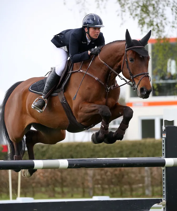 Ici à Lummen, Catherine van Roosbroeck fort bien valorisé Shou d’Ouilly.