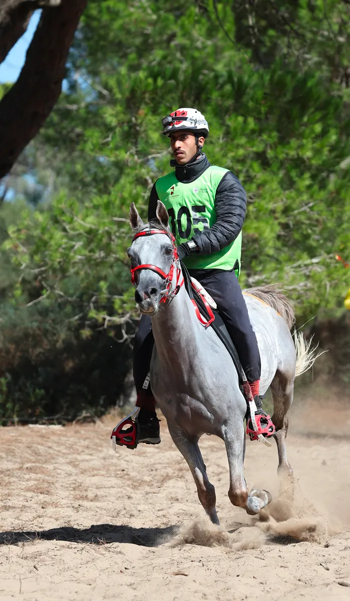 Guerwan du Barthas, Pur-sang Arabe né en France, a été médaillé d'argent avec le Bahreïnien Mayouf Abdoulaziz al-Romaihi.