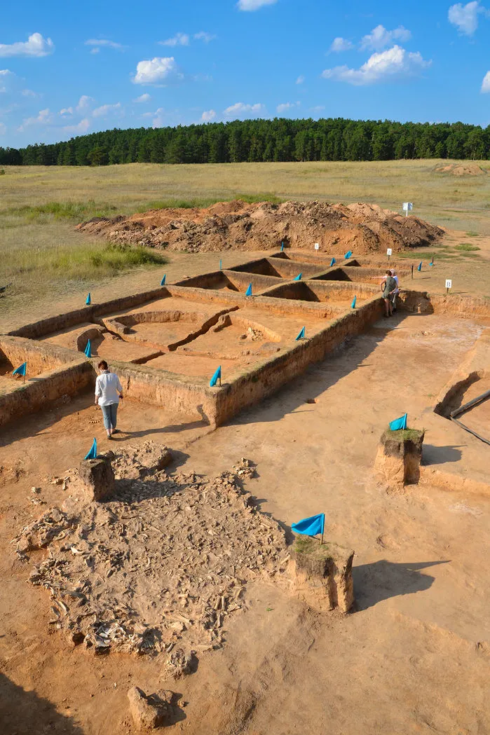 Ce séquençage de l'ADN du cheval sur ce site historique au Kazakhstan suggère que ce n'est pas là que les chevaux domestiques d'aujourd'hui sont nés.