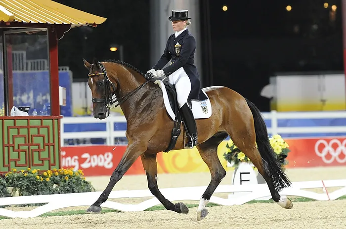 Au cours de leur longue et fructueuse carrière, Isabell Werth et Satchmo ont remporté l’or par équipe et l’argent individuel aux Jeux olympiques de 2008, à Hong Kong. La cavalière prépare une fête d’anniversaire pour les vingt-six ans du hongre, prévus le mois prochain.