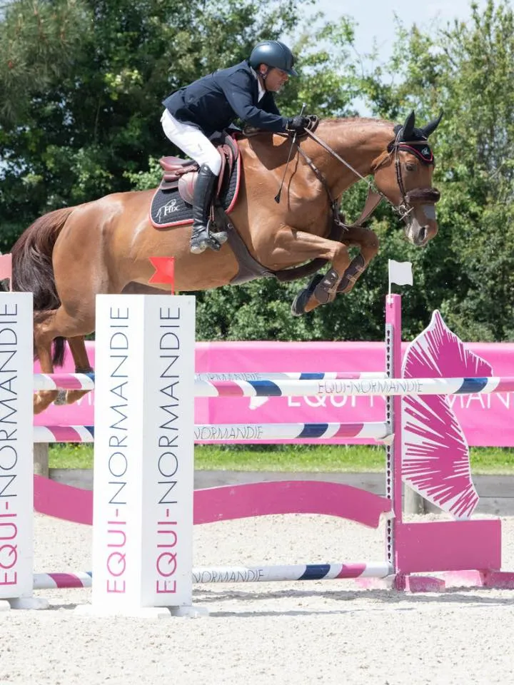Floralie DK*HDC, acquise à Fences par le haras des Coudrettes, avec Reynald Angot