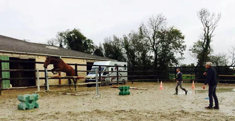 Sébastien Tencé et le président du groupement Jacques Hamel qui préparent un 3 ans, Epsom de Vaudival un fils de Catoki (Holsteiner )