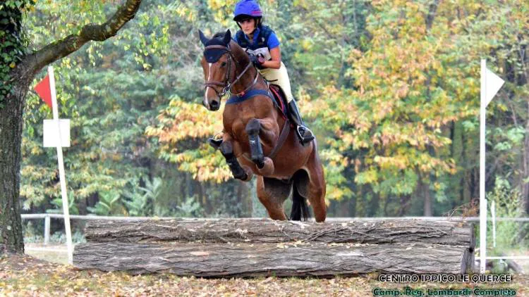 bijou Belmaniere, cheval présenté aux ventes 2016 sorti en complet en octobre 2017 en lombardie (italie)