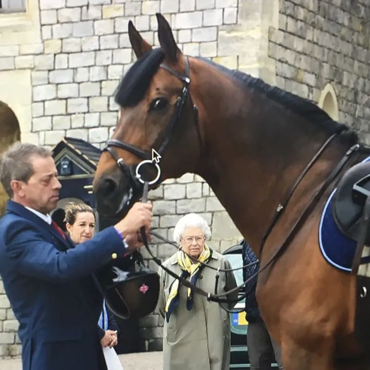 Après l'annonce de leur retraite en 2017, Big Star, Nick Skelton et Mark Beever ont eu l'honneur d'être congratulés par la reine Elizabeth II 