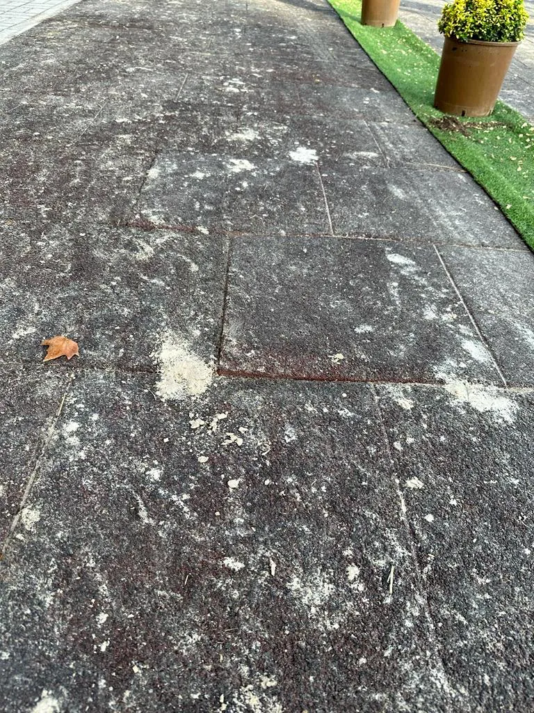 Voici le sol utilisé pour l’inspection des chevaux appelés à participer au CSIO 5* de Barcelone.