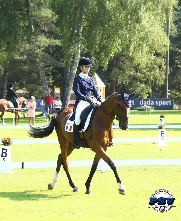 Meilleure représentante française après le dressage, Heloïse Le Guern est pour l'heure troisième du championnat.