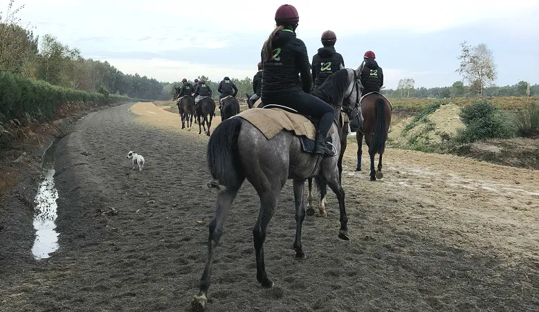 Ecurie Gabriel Leenders