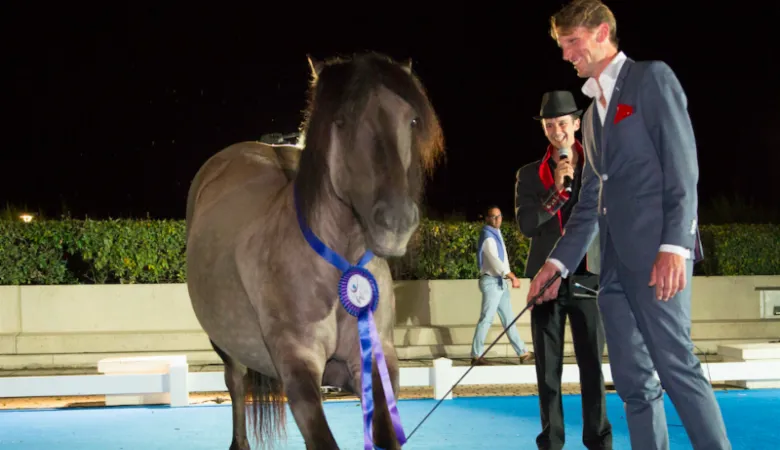 Kevin Staut s'essayant au dressage de chevaux.