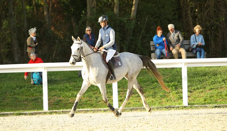 Emory Mail, un superbe cheval d'avenir pour le CCE