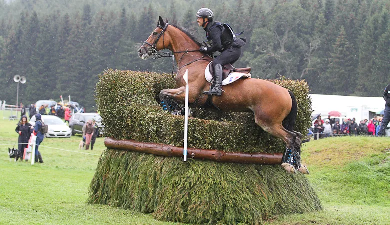 Thibaut Vallette a réalisé une démonstration pour la France aux rênes de Qing du Briot*ENE-HN.