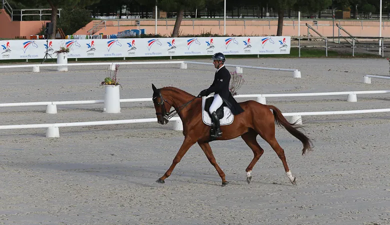 Cédric Lyard et Qatar du Puech Rouget ont dominé jusqu'au dernier passage