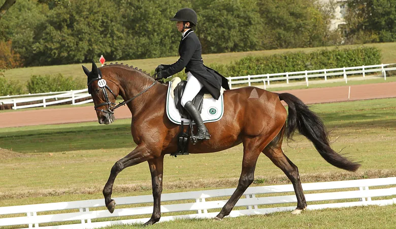 Jeanne Chauvel et Iggy Pop ont été intraitables