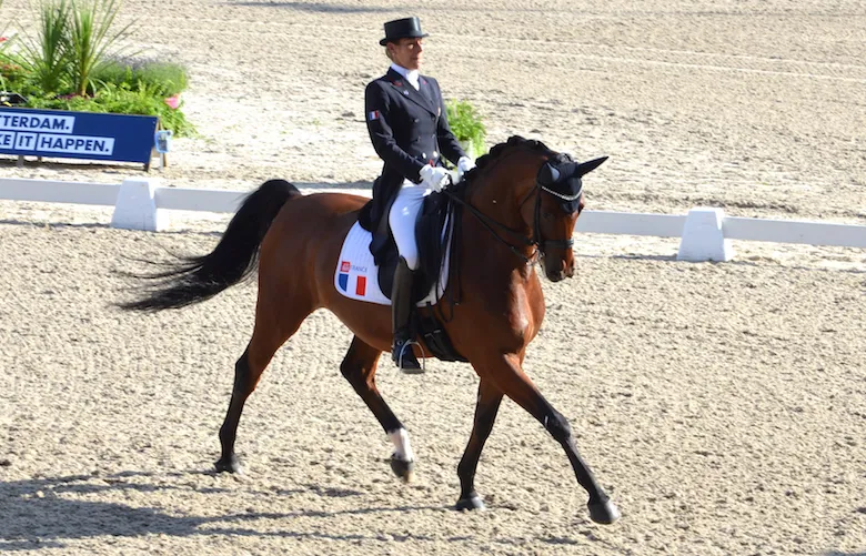 Amorak apparaît quant à lui plus détendu à chacune de ses sorties.