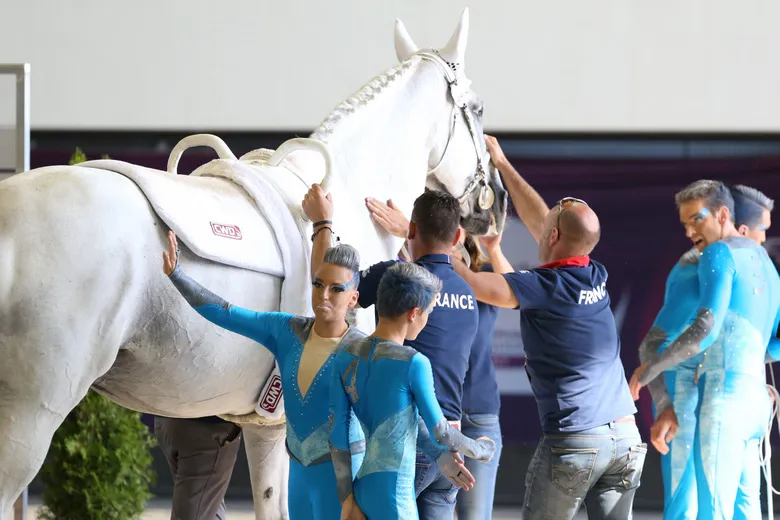 Les Français peuvent être contents de leur performance : ils ont été les seuls à ne pas commettre de faute aujourd'hui.