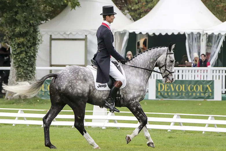 William Fox Pitt et Reinstated en embuscade