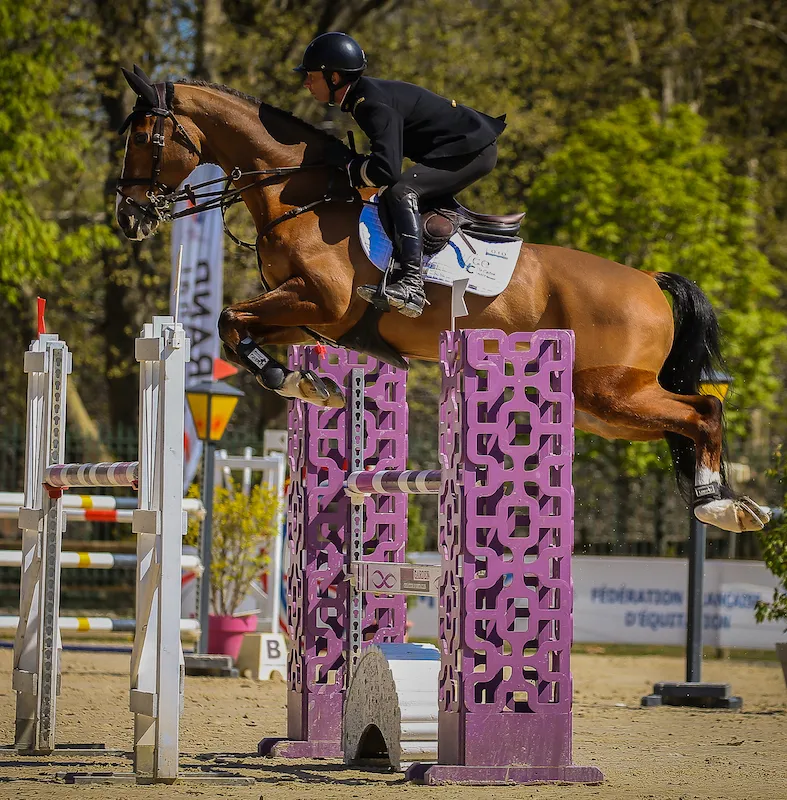 Thibaut Vallette et Qing du Briot*IFCE.