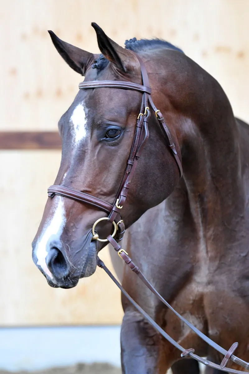 Ranger van het Dauwhof