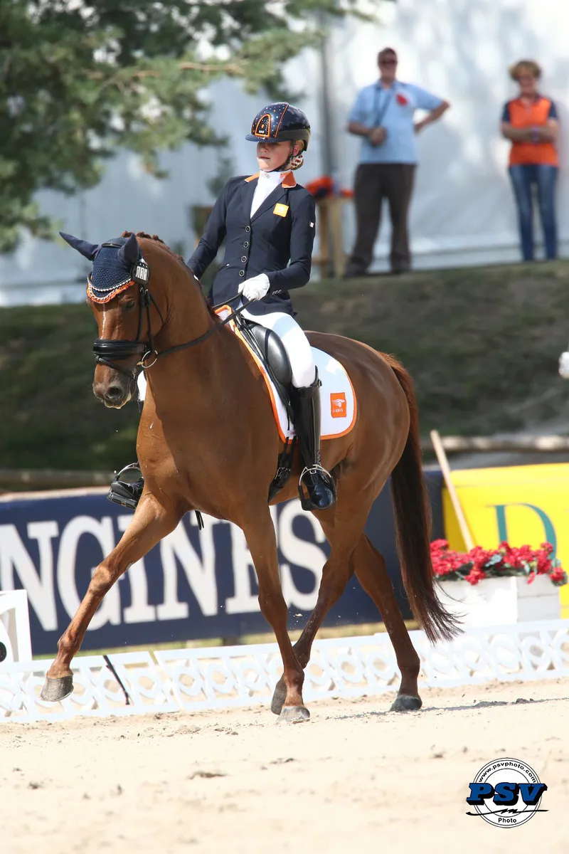 Lara Van Nek, en selle sur Fariska, fait le meilleur score avec 76,154%, et offre la médaille d'or à l'équipe néerlandaise