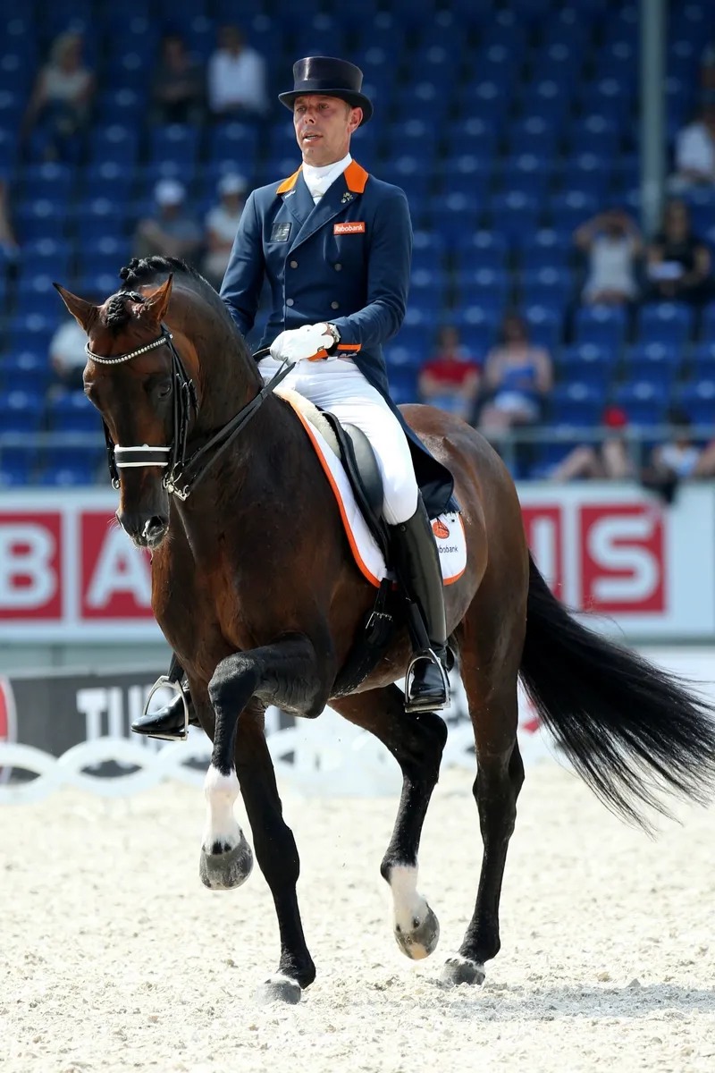 Ici aux championnats d'Europe en 2015 avec Hans-Peter Minderhoud, Johnson est de nouveau le meilleur étalon au monde.